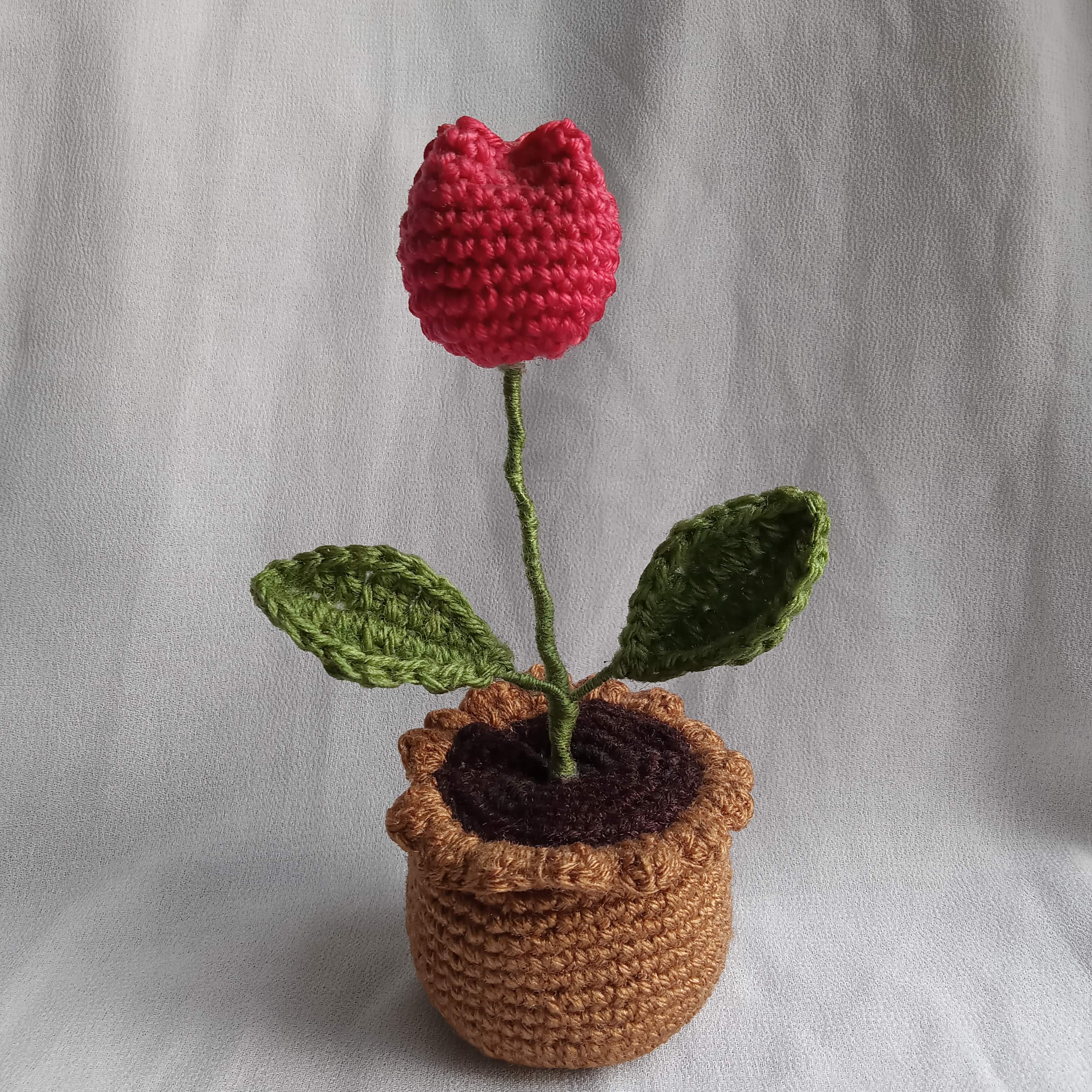 Tulip Pot